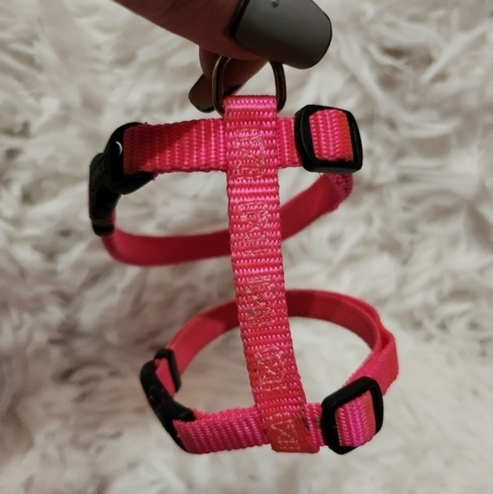 Pet harness